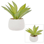 Truu Design Artificial Plant in 4.75