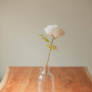 EUCALYPT Large Peony
