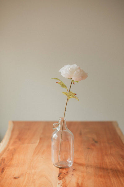 EUCALYPT Large Peony