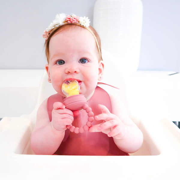 Baby bliss Fruit Feeder