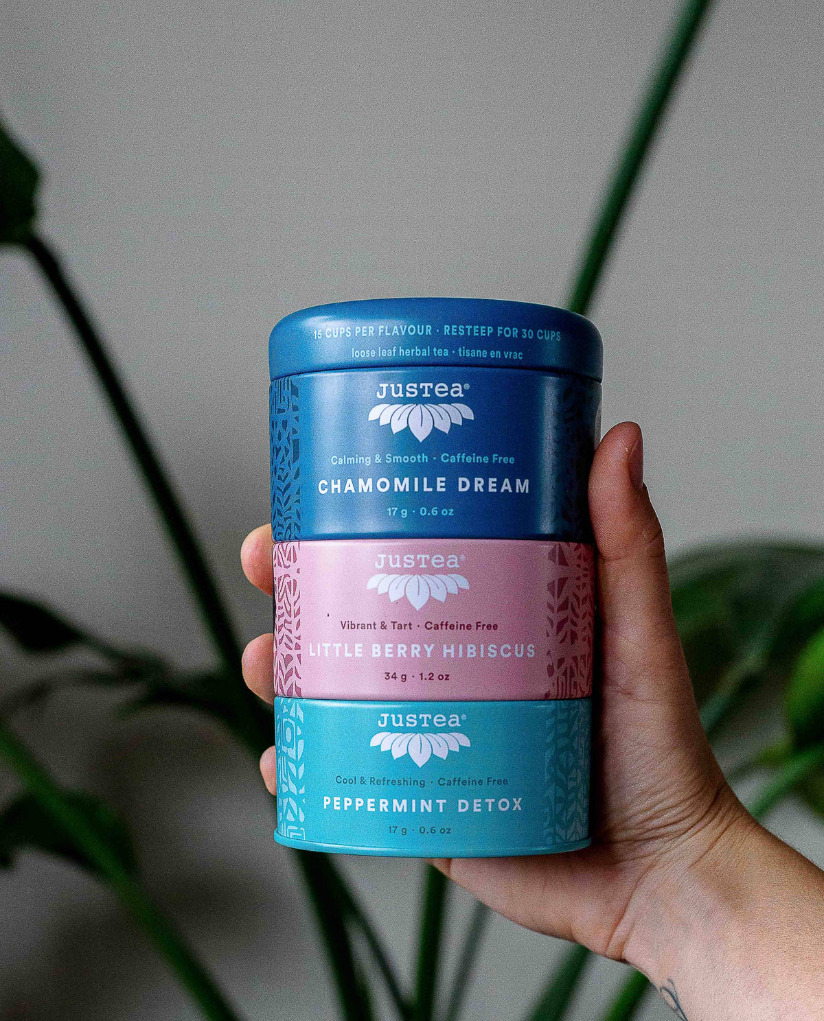 JUST TEA Herbal Tea Trio Tin & Spoon - Organic, Fair-Trade Tea Gift