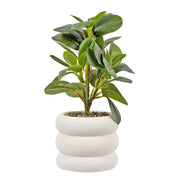 Truu Design Artificial Plant in 4.75