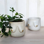 PLANT ‘ER HERE Golden Boob Pot