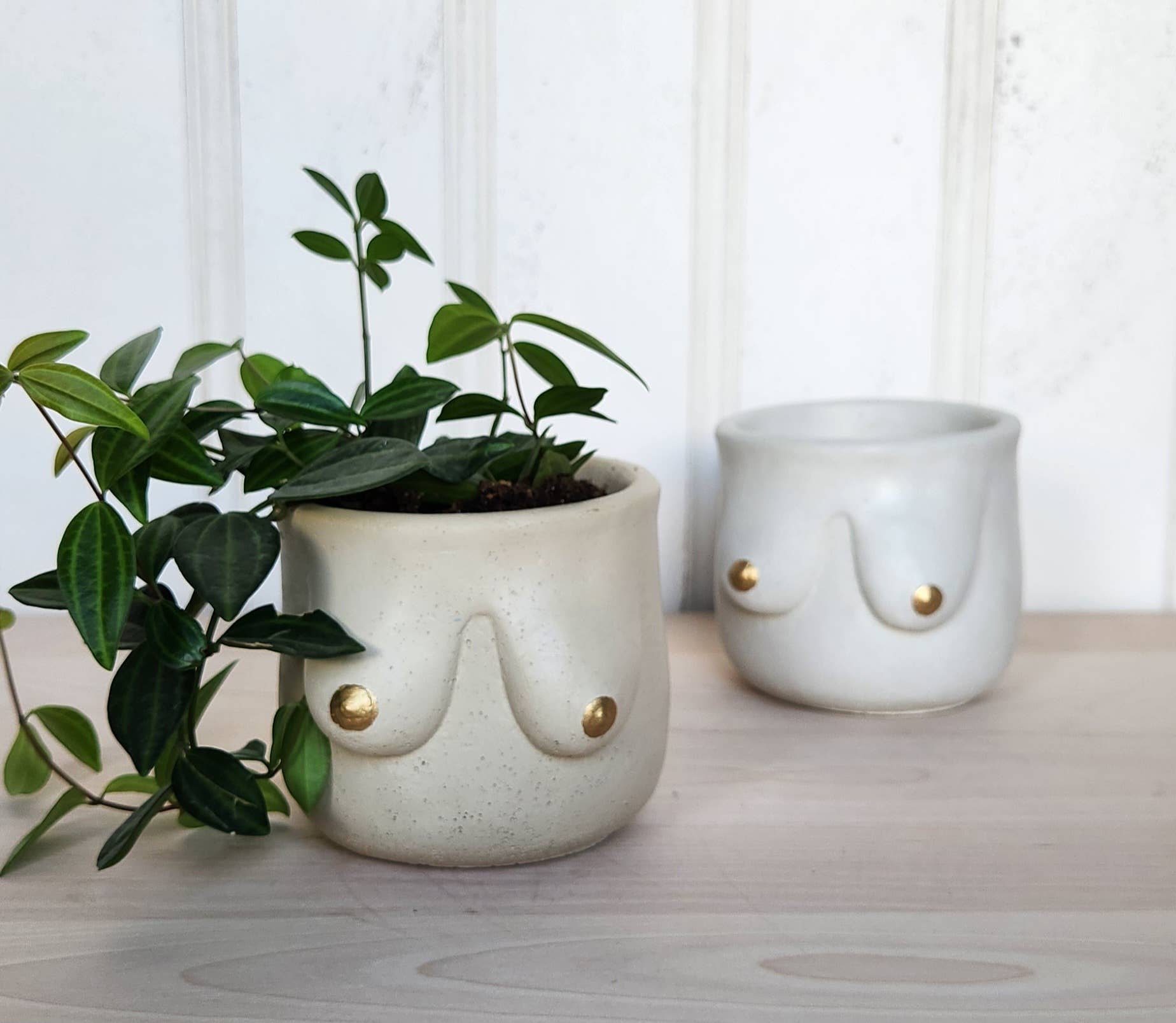 PLANT ‘ER HERE Golden Boob Pot