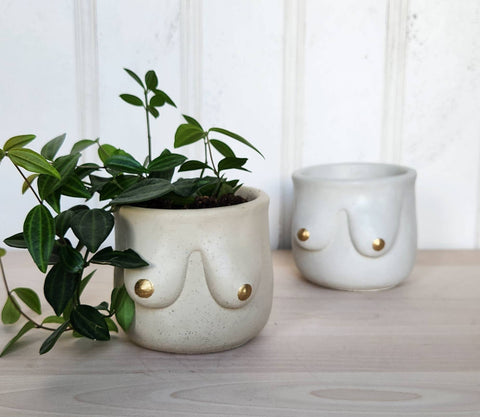 PLANT ‘ER HERE Golden Boob Pot