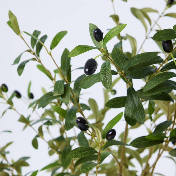 TRUU Artificial Potted Olive Tree, 63"H