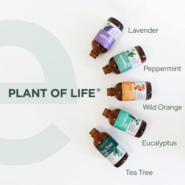 Plant of Life Eucalyptus Essential Oil | Therapeutic Grade | Multi Sizes