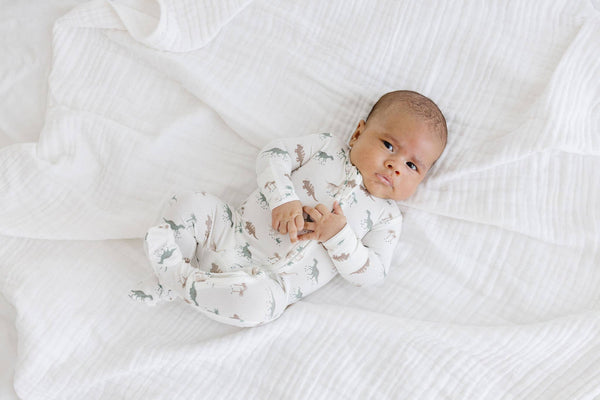 love + wild Zip Sleeper - Dinosaurs