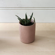 PLANT ‘ER HERE Cylinder Planter- 3