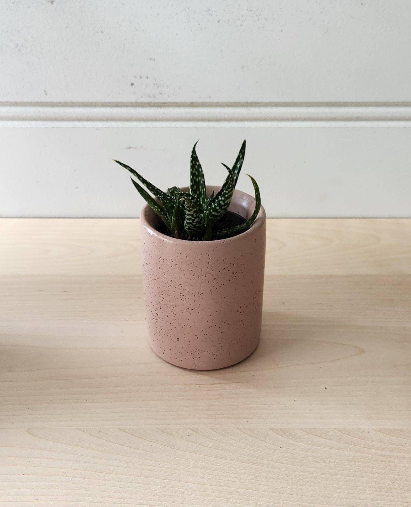 PLANT ‘ER HERE Cylinder Planter- 3" 5" 7" Blush