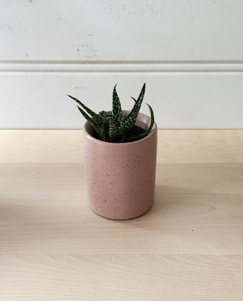 PLANT ‘ER HERE Cylinder Planter- 3" 5" 7" Blush
