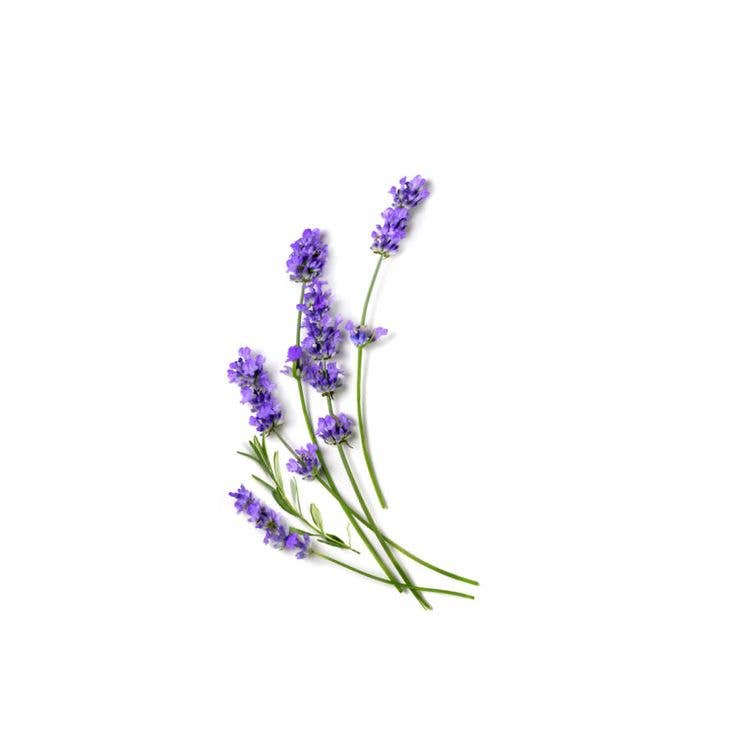 REBELS Lavender x Eucalyptus Pocket Hand Sanitizer