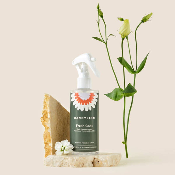 DANDYLION Fresh Coat Daily Cleansing Spray | Waterless No-Rinse Shampoo