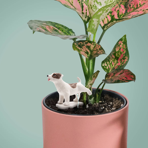 NPW Pee My Plants Dog Watering Decoration