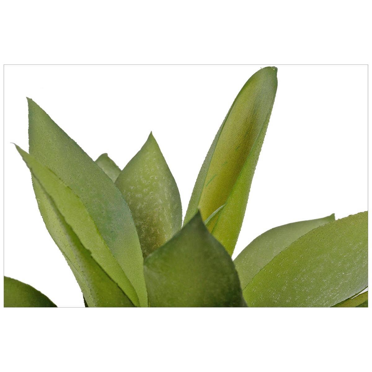Truu Design Artificial Plant in 4.75