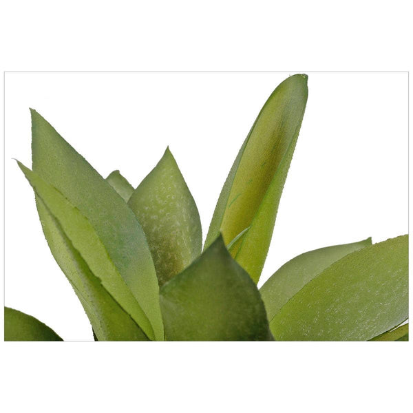 Truu Design Artificial Plant in 4.75"D Cement Pot