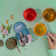 JUST TEA Herbal Tea Trio Tin & Spoon - Organic, Fair-Trade Tea Gift