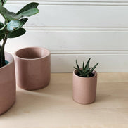 PLANT ‘ER HERE Cylinder Planter- 3