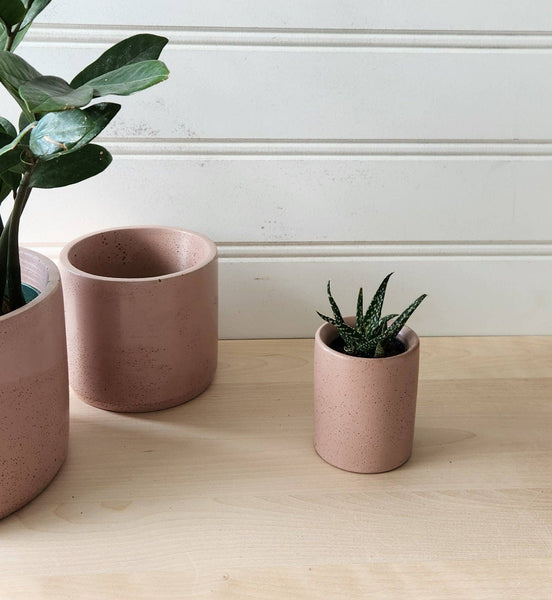 PLANT ‘ER HERE Cylinder Planter- 3" 5" 7" Blush