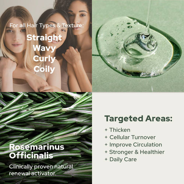 Plant of Life Rosemary Essential Oil for Aromatherapy Hair, Skin, & Nails