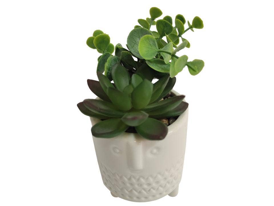 Truu Design Artificial Plants in 3