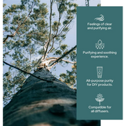 Plant of Life Eucalyptus Essential Oil | Therapeutic Grade | Multi Sizes