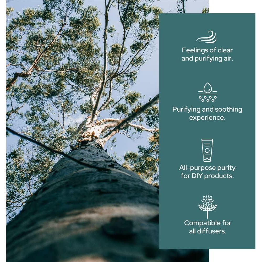 Plant of Life Eucalyptus Essential Oil | Therapeutic Grade | Multi Sizes