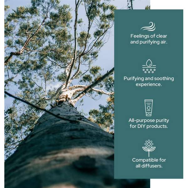 Plant of Life Eucalyptus Essential Oil | Therapeutic Grade | Multi Sizes