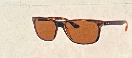 RAY BAN RB4181