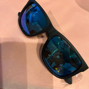 RAY *BAN JUSTIN SUNGLASSES