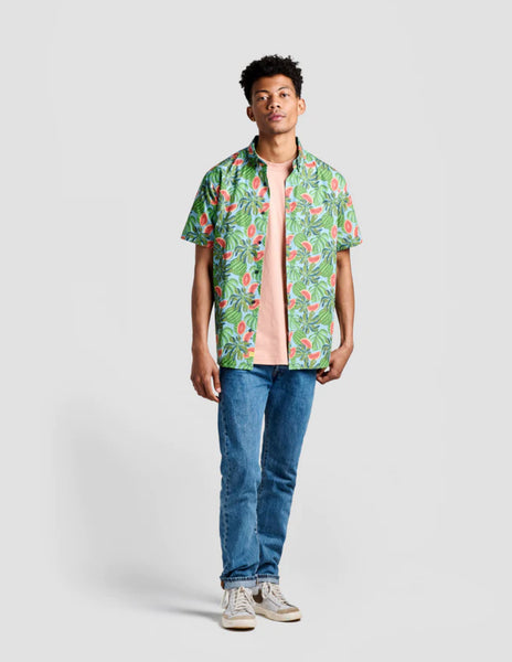 POPLIN *& CO SS BUTTON DOWN SHIRTS