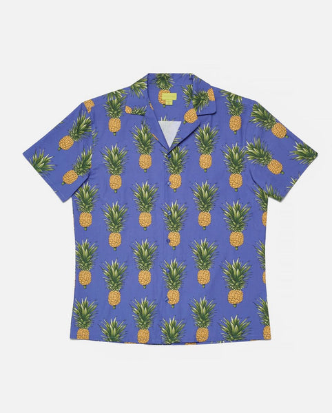 POPLIN *& CO SS BUTTON DOWN SHIRTS