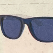 RAY *BAN JUSTIN SUNGLASSES