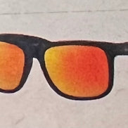 RAY *BAN JUSTIN SUNGLASSES