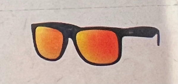 RAY *BAN JUSTIN SUNGLASSES