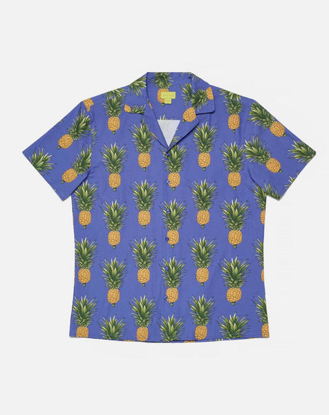 POPLIN *& CO SS BUTTON DOWN SHIRTS