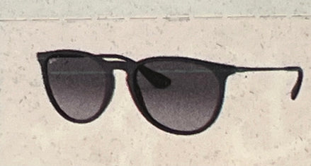 RAY *BAN ERIKA SUNGLASSES