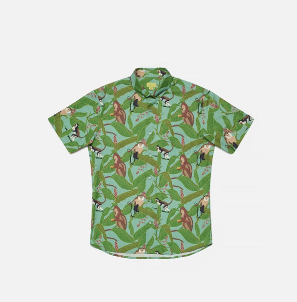 POPLIN *& CO SS BUTTON DOWN SHIRTS